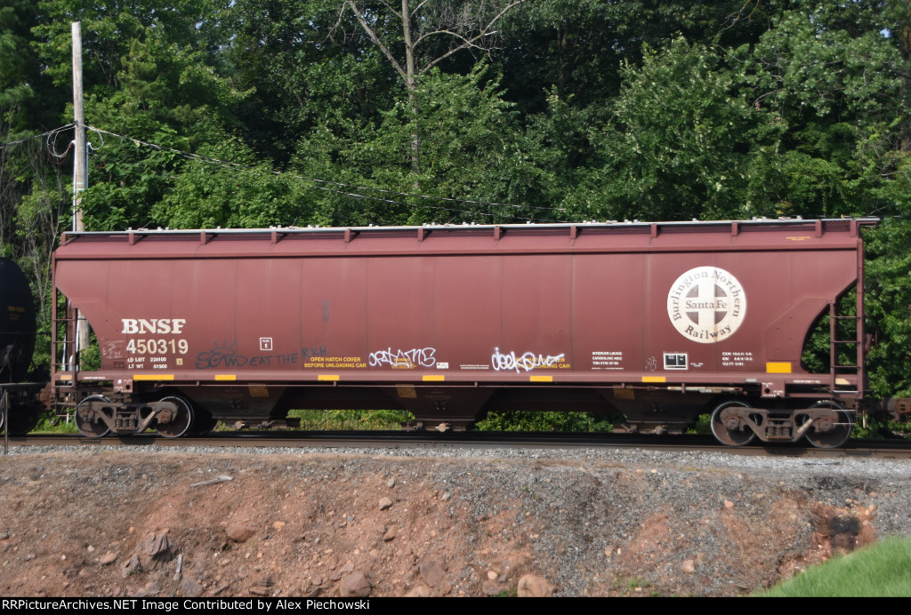 BNSF 450319